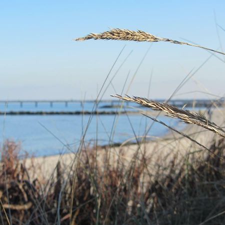 Ferienwohnung Sonnenschein Schonberger Strand Dış mekan fotoğraf